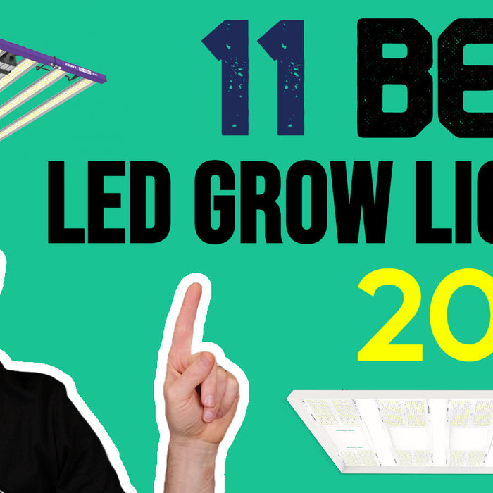 Best LED Grow Lights for 2025: Top Picks for 4x4 & 5x5 Grow Setups