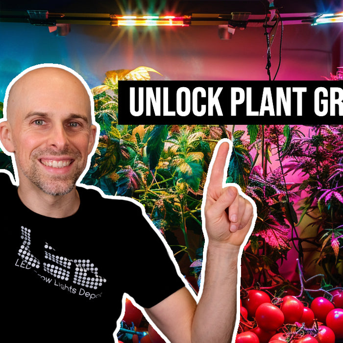 How to Choose the RIGHT Spectrum for Your Plants