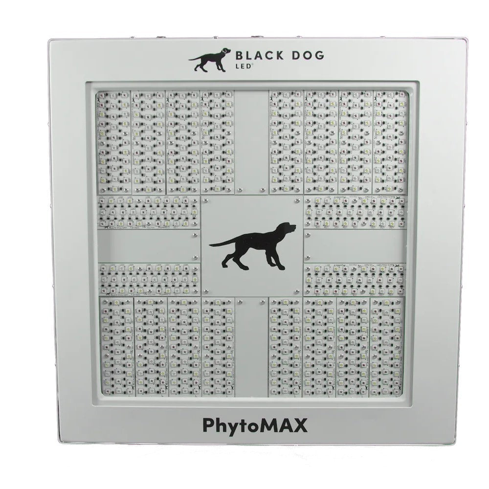 Buy Black Dog LED PhytoMAX 4 20S Grow Light 1250W LED Grow