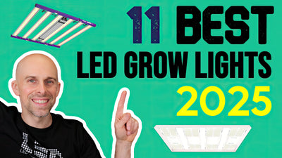 Best LED Grow Lights 2025