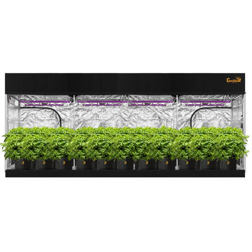 Gorilla Grow Tent Pro 10′ x 20′ x 6′ 11″  - LED Grow Lights Depot