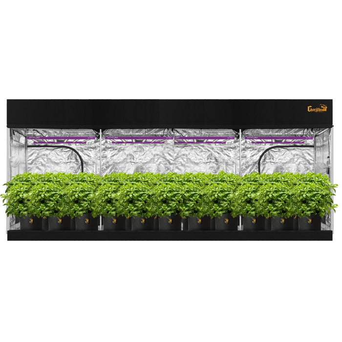 Gorilla Grow Tent Pro 10′ x 20′ x 6′ 11″  - LED Grow Lights Depot