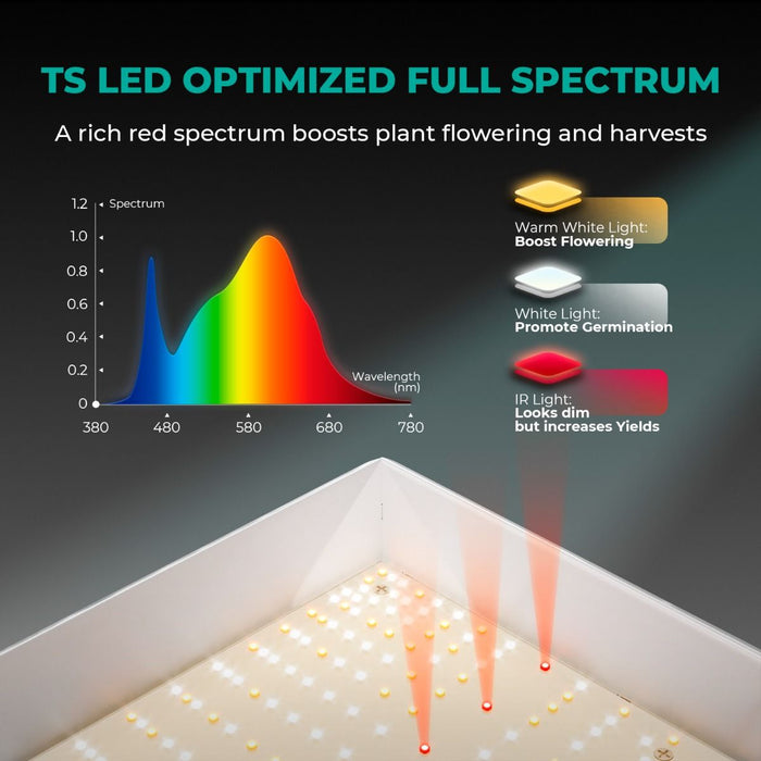 Mars Hydro TS 600 + 2'x2' Complete Indoor Grow Tent Kit  - LED Grow Lights Depot