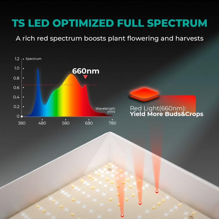 Mars Hydro TSL 2000 + 2'x4' Complete Grow Kit  - LED Grow Lights Depot