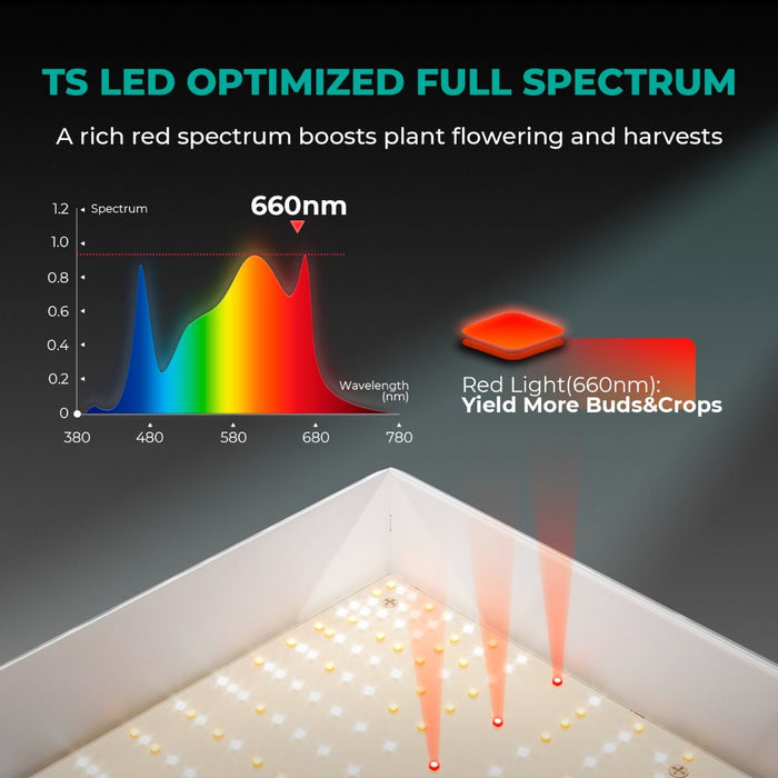 Mars Hydro TSW 2000 + 4'x4' Indoor Tent Complete Grow Kit  - LED Grow Lights Depot